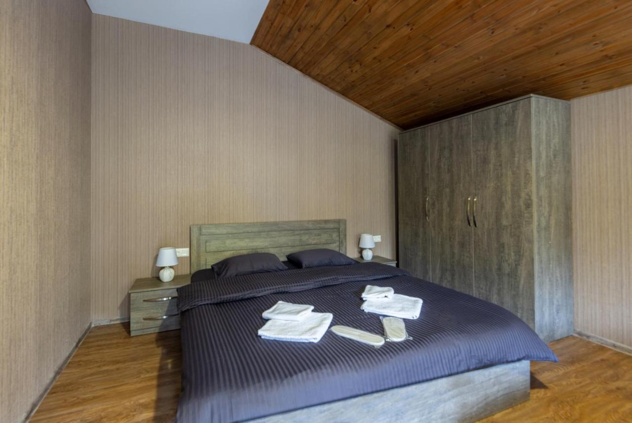 - Didveli Residence Lux Apartments - Bakuriani Luaran gambar
