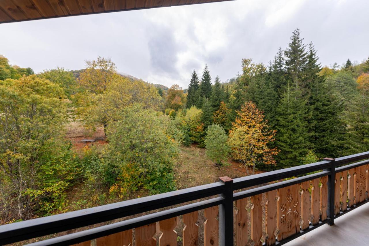 - Didveli Residence Lux Apartments - Bakuriani Luaran gambar