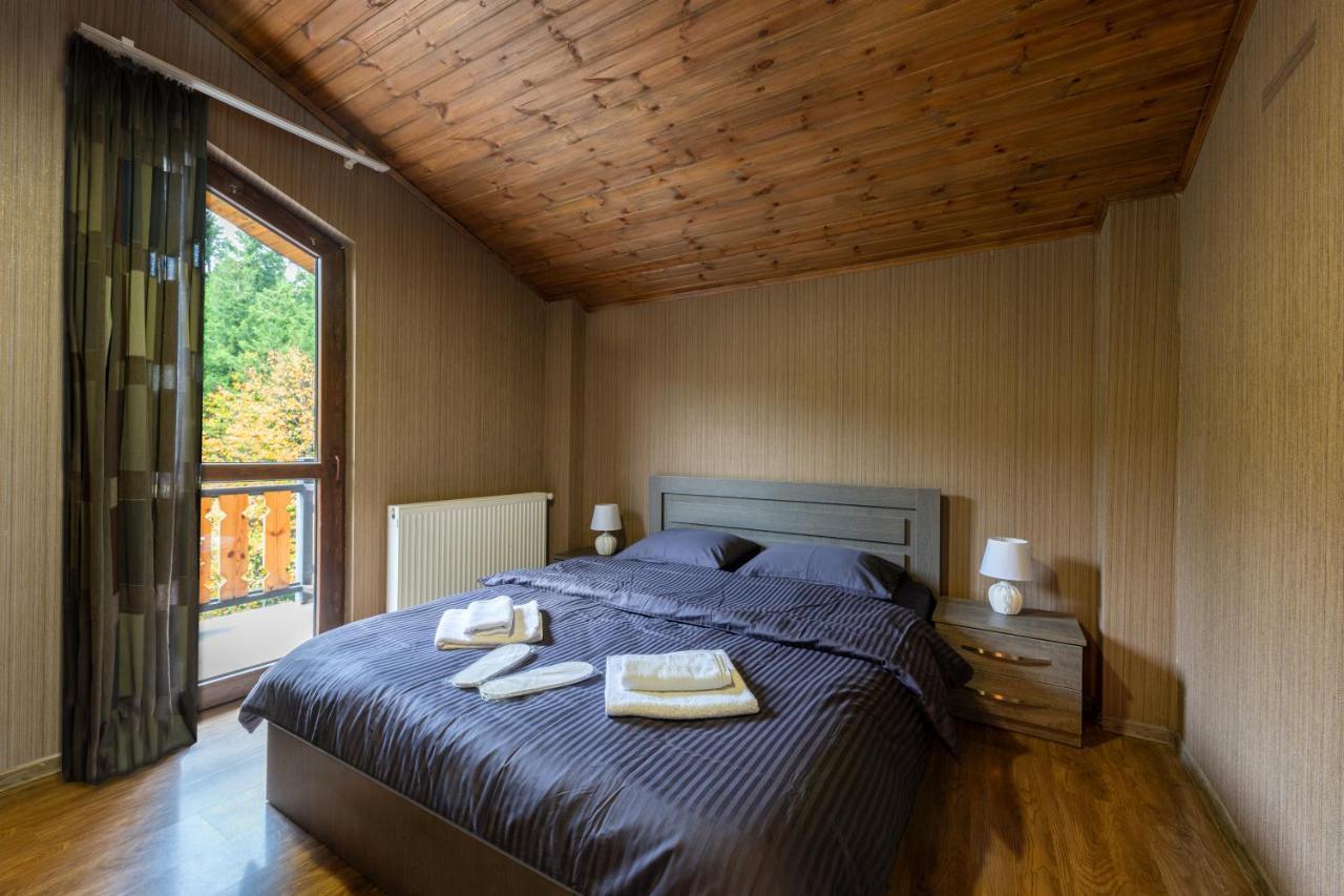 - Didveli Residence Lux Apartments - Bakuriani Luaran gambar