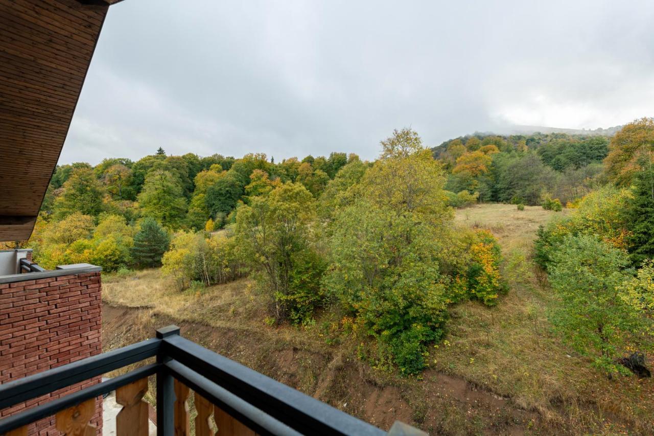 - Didveli Residence Lux Apartments - Bakuriani Luaran gambar